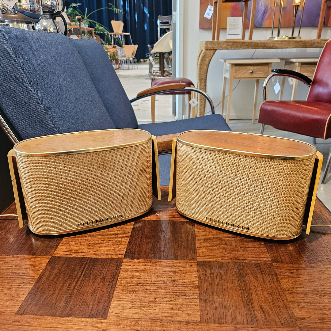 Pair of Telefunken Allvox Strahler RS1 Speakers
