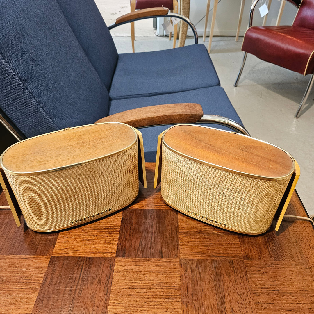 Pair of Telefunken Allvox Strahler RS1 Speakers