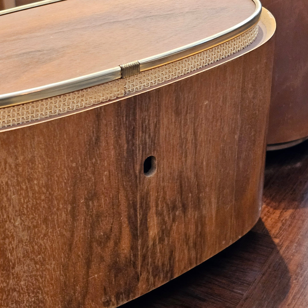 Pair of Telefunken Allvox Strahler RS1 Speakers