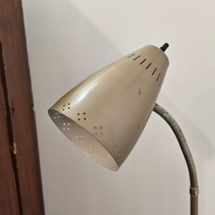 Gooseneck Floor Lamp