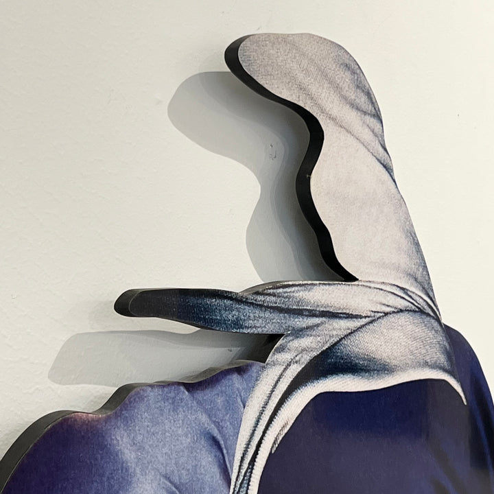 “Ambiguant No. 17” Wall Art by Jesse Matthew Petersen