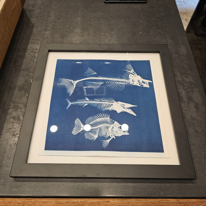 Framed 16x16 Cyanotypes by Mariano Chavez